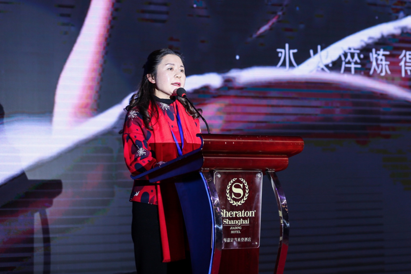 崇阳长三角商会名誉会长刘彩霞致辞